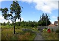 Scrubland behind new estate in DH9 7HU
