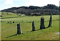 Ballymeanoch stone row in PA31 8RG
