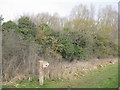 Emberton Country Park in MK46 5FD