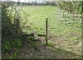 Briantspuddle, disused stile in DT2 7HS