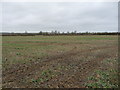 Arable land east of Dairy Farm in NN12 6QW
