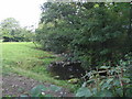 Muddy stream near Waen fach in SY22 6TH