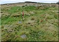 Askham Fell Cairn stone row in Askham