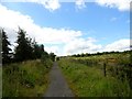 Path south of Langleymoor Plantation in DH9 7HJ