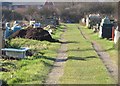 Allotments near Alton Park Road, Clacton in CO15 2DS