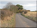 The road to Scoughall in EH39 5PP