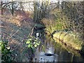 Chaddesden Brook in DE21 6ZF