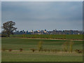 Fields near Letchworth in SG6 4PY