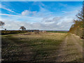 Farm track near Letchworth in SG5 4SA