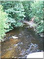 Afon Ceiriog at Glyn Ceiriog in LL20 7HH
