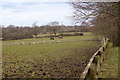 Paddocks, Horton Country Park in KT19 8PL