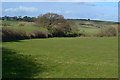 View into fields beside Whitcombe Road in Isle of Wight