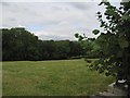 Grazing land and wood in SY22 6QP