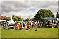 Great Wymondley Village Fete in SG4 7EZ