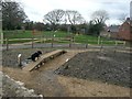 New Dog Agility public space in SO40 2BB