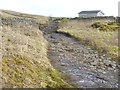 Moorland track above Garrigill Burn in CA9 3EW