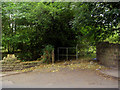 Gate / Fence into Woodland off Dropping Well in S61 2RA