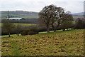 View over farmland near Bembridge Windmill in PO35 5SQ
