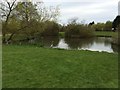 Pond in Emerson Valley Park in MK4 2AF