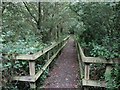 Boardwalk in the Linford Lakes Nature Reserve in MK14 6FQ