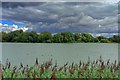 Linford Lakes Nature Reserve in MK19 7DL