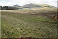 Field near Glencorse Mains in EH26 0NJ