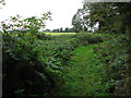 Past the woodland in NR9 5PU