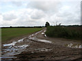 Farm road to Reservoir Wood in NR9 5PT