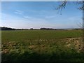 Field near Hickman's Hill in SG7 6RH
