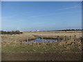 Pond on the edge of Northumberlandia in NE23 8BJ