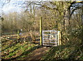 Footpath through Manor Road Community Woodlands in BS31 1JS