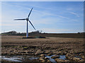 Wind Turbine in EH27 8DQ