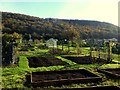 Tudorville allotments, 1 in HR9 5JB