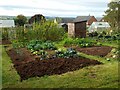 Tudorville allotments, 2 in HR9 5JB