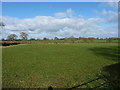 Farmland north of Broad Lane, Berkswell in CV7 7BH