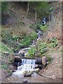 Small waterfall, Terras Hill Wood near Restormel in PL22 0EE