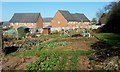 Tudorville allotments, 3 in HR9 5JB