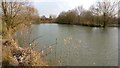 Lake at the Whetstone Gorse Fishery in LE8 6UL
