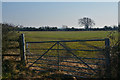 Sedgemoor : Grassy Field & Gate in TA9 3RH