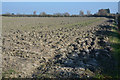 Sedgemoor : Ploughed Field in TA9 3RH