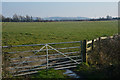 Sedgemoor : Grassy Field & Gate in TA6 4SQ