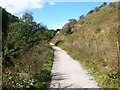 Footpath - Entering Lathkill Dale National Nature Reserve in DE45 1HT