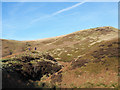 Walkers on knoll above Abbey Brook in S6 6JE