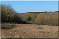 Pear Tree Wood viewed from Burroughs Road in LE6 0LY