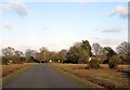 Rhinefield Road entering Brockenhurst in SO42 7QZ