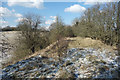 Snow on an old Railway Embankment in RG20 8JU