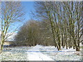 Winter on East Wickham Open Space in DA16 3JU