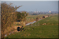Sedgemoor : Countryside Scenery in TA5 2ST