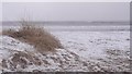 Seton Sands in the frost in EH32 0PW
