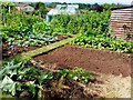 Tudorville allotments, 4 in HR9 5JB